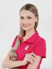 Бордовый значки "Единорог"