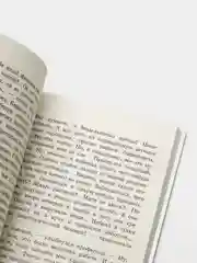 Необыкновенные приключения Карика и Вали,  Ларри Я.Л