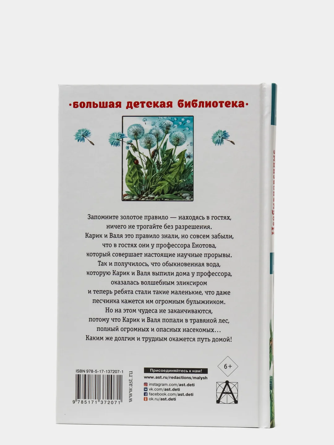 Необыкновенные приключения Карика и Вали,  Ларри Я.Л