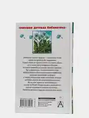 Необыкновенные приключения Карика и Вали,  Ларри Я.Л