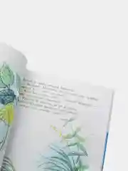 Сказки и картинки