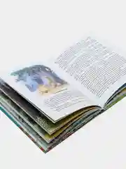 Волшебник Изумрудного города (ил. В. Канивца) (#1), Александр Волков