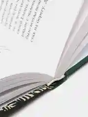 Бедный маленький мир. Книга 1: Перспектива цветущего луга / Козлова Марина