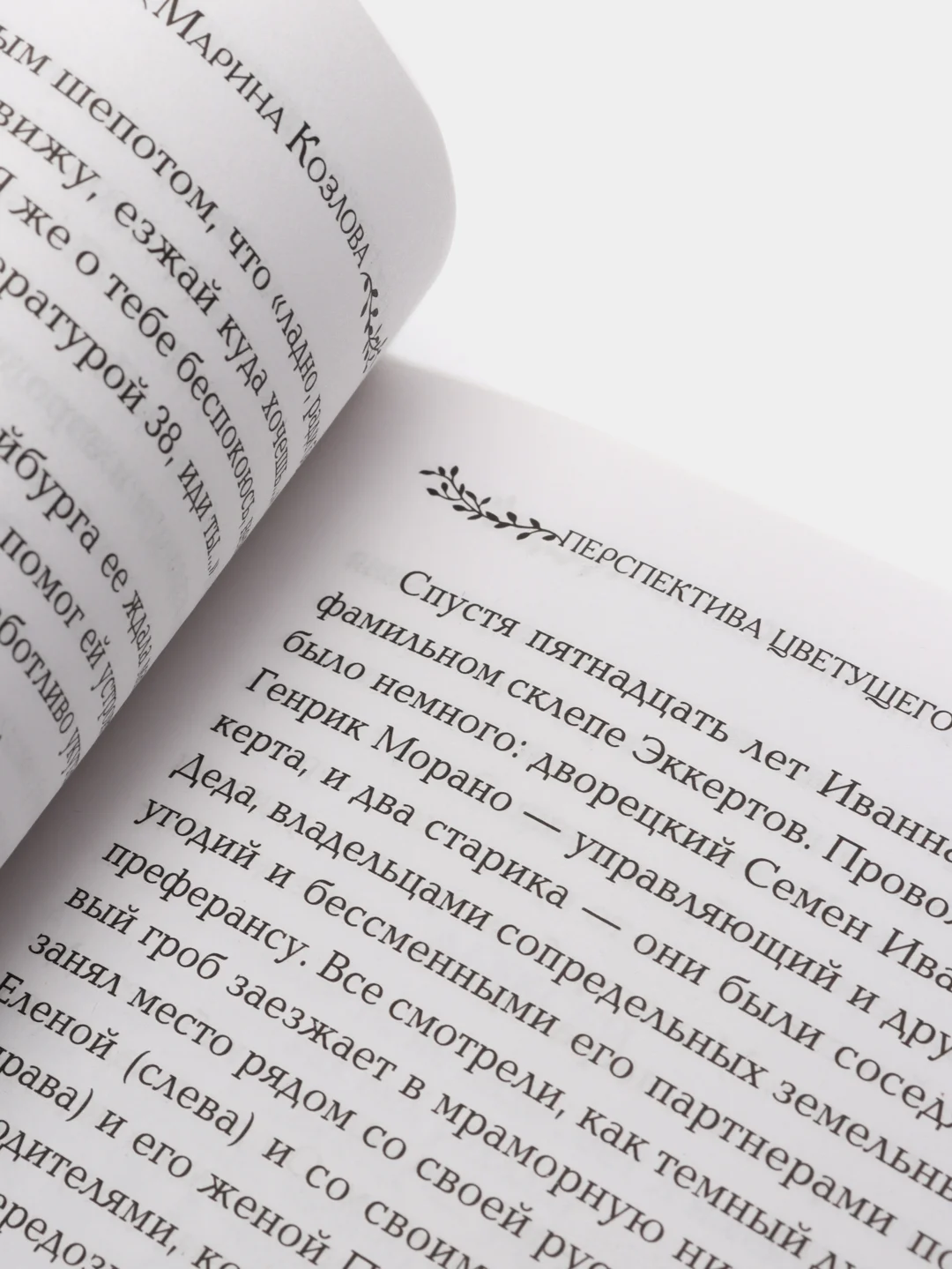 Бедный маленький мир. Книга 1: Перспектива цветущего луга / Козлова Марина