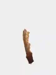 Японский клен, семена бонсай, 10 штук