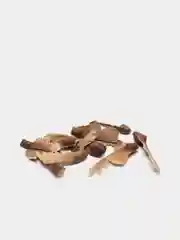 Японский клен, семена бонсай, 10 штук