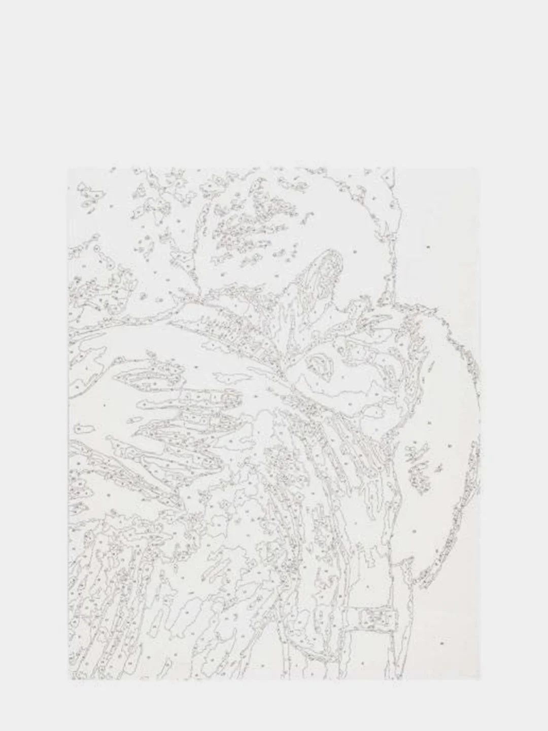 Набор для рисования по номерам "Крепкие объятия" 40*50см HOBRUK