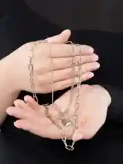 Колье-двойка серебряная цепь