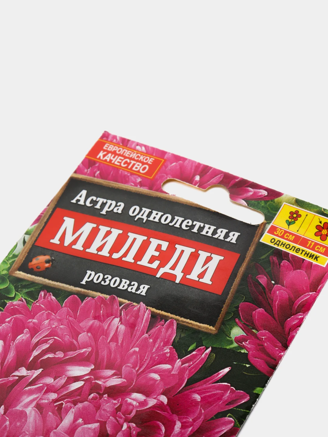Астра "Миледи", розовая, семена, цветы
