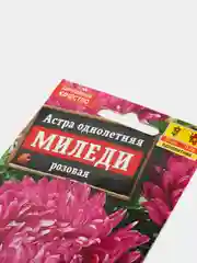 Астра "Миледи", розовая, семена, цветы
