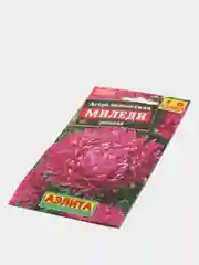 Астра "Миледи", розовая, семена, цветы