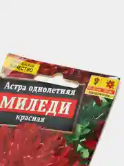 Астра Миледи красная, семена, цветы