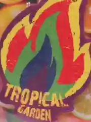 Ароматизатор подвесной бумажный AVS Fire Fresh, все ароматы