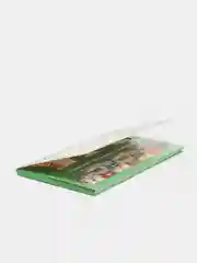 Учебно-игровой комплект "Домино логопедическое"