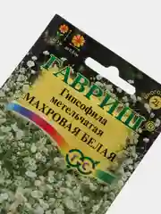 Гипсофила махровая Белая (семена,цветы)