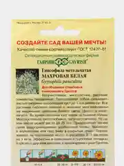 Гипсофила махровая Белая (семена,цветы)