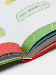Годовой курс занятий: для детей 1-2 лет, Далидович А., Мазаник Т.М., Цивилько Н.М