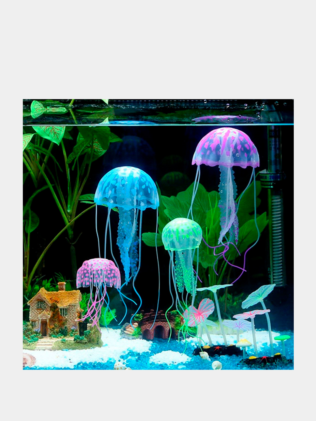 Дизайн аквариума от 10 до 100 литров и более: стили и идеи