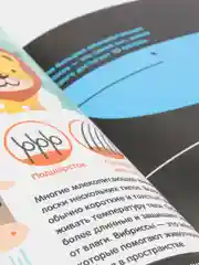 В мире животных. Первая энциклопедия в инфографике, Брандл Х
