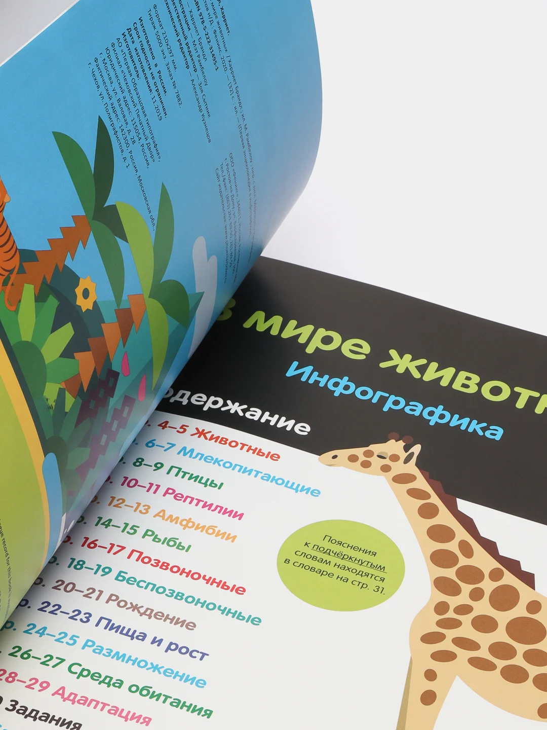 В мире животных. Первая энциклопедия в инфографике, Брандл Х