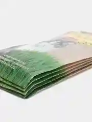 Семена Трава для кошек "Скакун" набор 1, 3, 5 уп