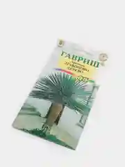 Семена Драцена "Драконово дерево" 3 шт