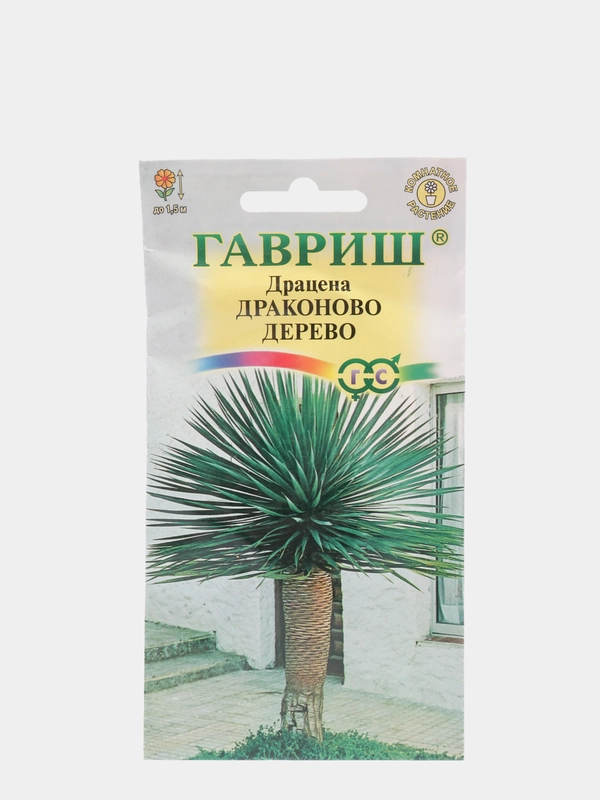 Семена Драцена "Драконово дерево" 3 шт