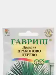 Семена Драцена "Драконово дерево" 3 шт