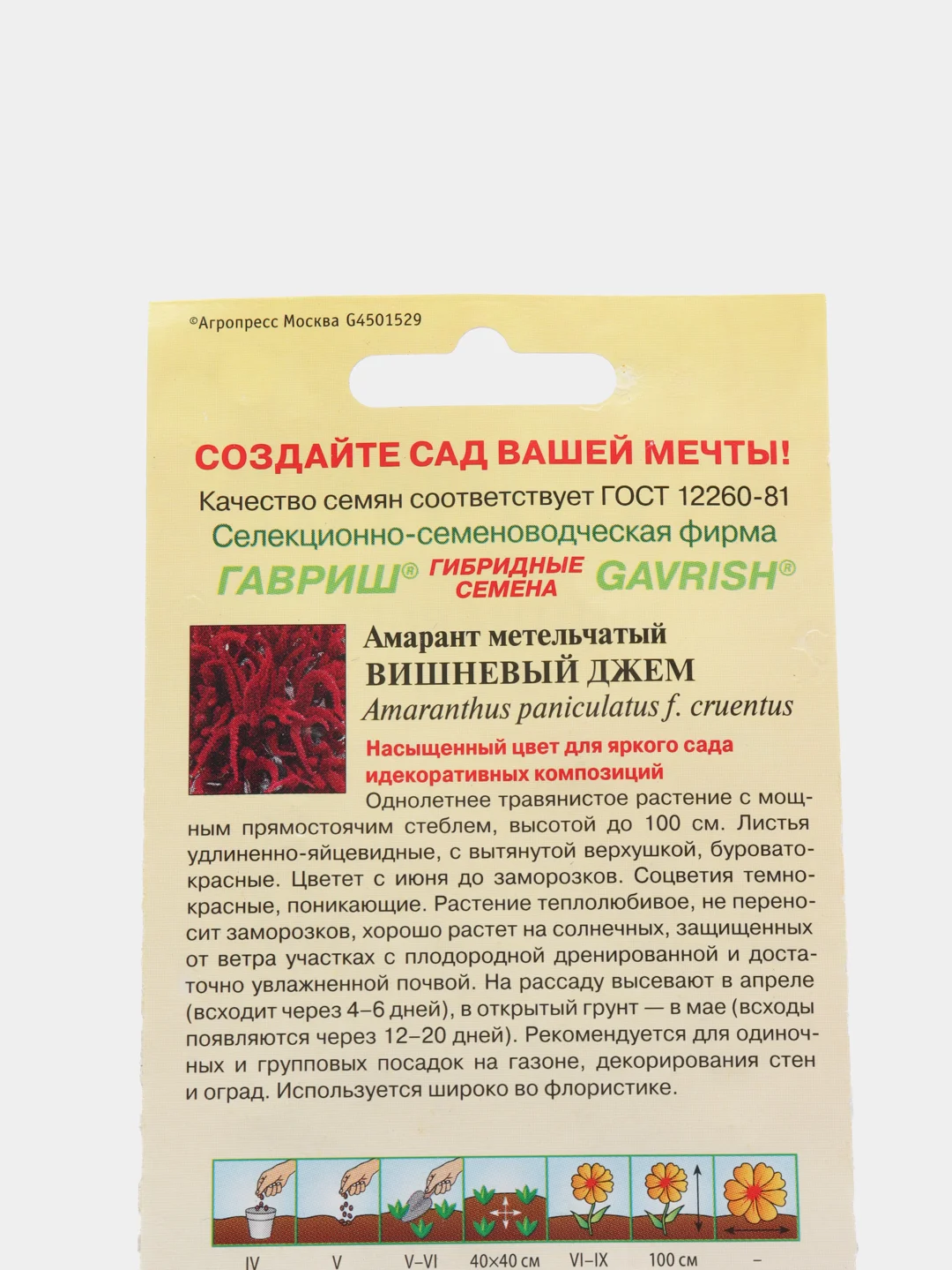 Семена Амарант "Вишневый джем"