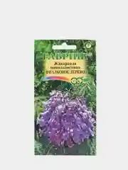 Жакаранда мимозолистная Фиалковое дерево 3 шт