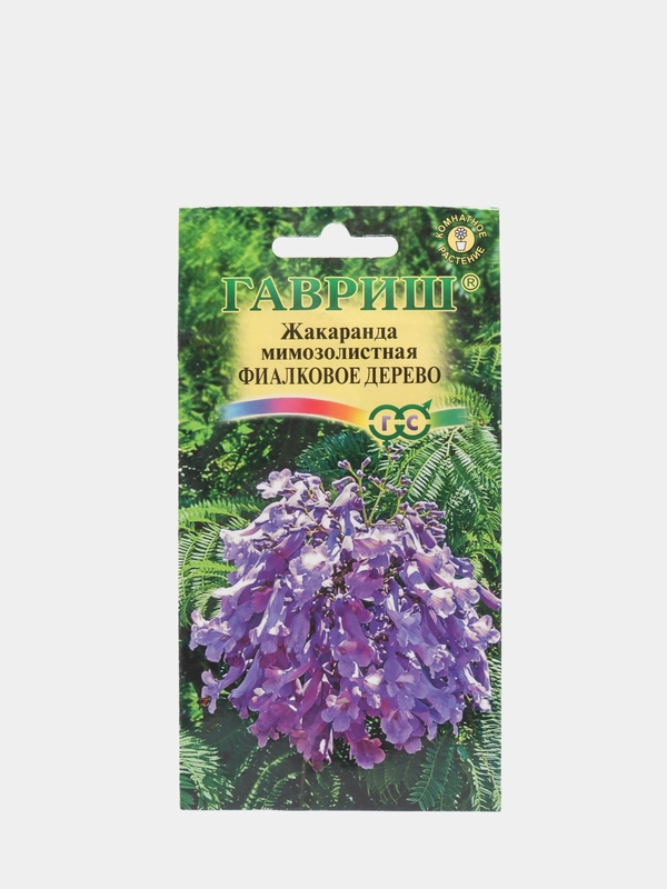 Жакаранда мимозолистная Фиалковое дерево 3 шт