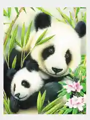 Алмазная мозаика 40*50см на подрамнике