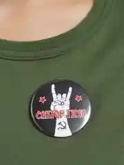 Значок "Сектор газа" из серии "Русский рок", 56 мм
