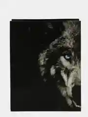 Угольный пакет бумажный "Хищные кошки", 23*18*10 см