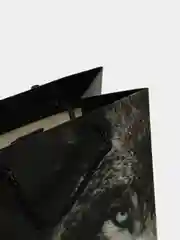 Угольный пакет бумажный "Хищные кошки", 23*18*10 см