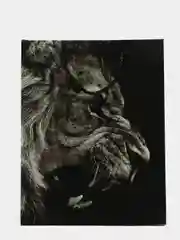 Черный пакет бумажный "Хищные кошки", 23*18*10 см