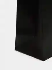 Угольный пакет бумажный "Хищные кошки", 23*18*10 см
