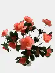 Кораллово-розовый искусственные цветы "Букет Азалий"