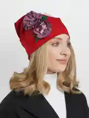 Бордовый шапка, весна-осень, 2 цвета