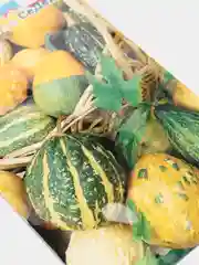 Тыква Жонглер, семена