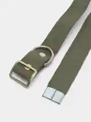 Оливковый ошейник из брезентовой ленты безразмерный для собак