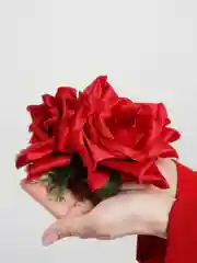 Вишнёвый заколки ручной работы