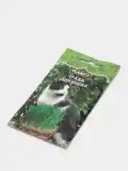 Семена "Трава для кошек", Плант