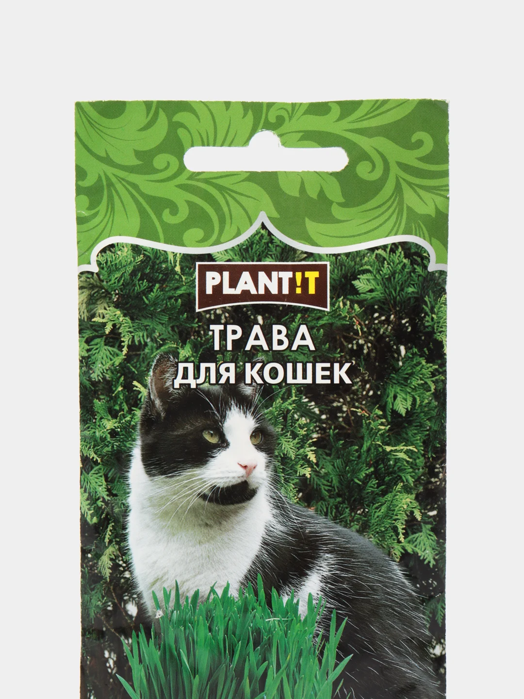 Семена "Трава для кошек", Плант