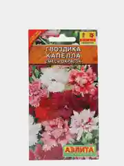 Семена цветов Гвоздика "Капелла махровая", смесь окрасок, 0.5 г