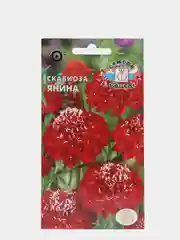 Семена Седек "Скабиоза Янина"