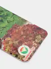 Смесь салатов Отелло и Дездемона (семена)