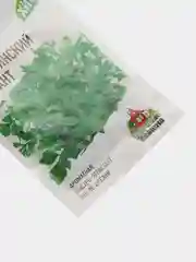 Семена Петрушка "Итальянский гигант"