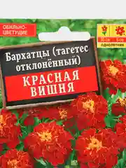 Семена Бархатцы (набор 2 уп) "Красная вишня"