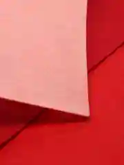Набор фетра для творчества, красно-розовые тона, 10 листов, 30 х 30 см, толщина 1 мм